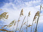 0088-IMGP8697.jpg