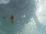0149-IMGP8750.jpg