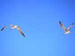 0175-IMGP8780.jpg
