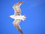 0182-IMGP8787.jpg