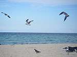 0218-IMGP8822.jpg