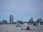 0226-IMGP8832.jpg