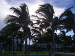 0236-IMGP8842.jpg
