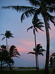 0331-IMGP8906.jpg