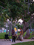 0334-IMGP8908.jpg