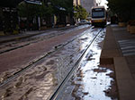 0119-IMGP9269.jpg