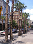 0132-IMGP9439.jpg