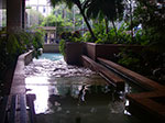 0182-IMGP9472.jpg