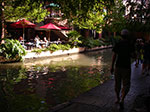 0195-IMGP9478.jpg