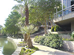 0196a-DSC00103.jpg