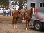 0065-IMGP9552.jpg