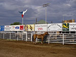 0083-IMGP9566.jpg