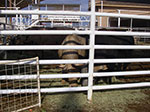 0085-IMGP9567.jpg
