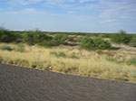 0141-IMGP9615.jpg