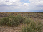 0072-IMGP9734.jpg