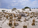 0084-IMGP9740.jpg