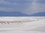 0202-IMGP9835.jpg