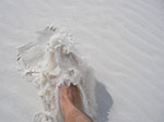 0219-IMGP9850.jpg
