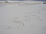 0231-IMGP9865.jpg