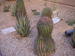 0125-IMGP0195.jpg