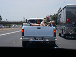 0011-IMGP0222.jpg