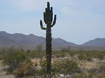 0024-IMGP0225.jpg