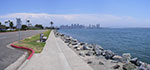 0040-IMGP0379-pan.jpg