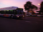0130-IMGP0458.jpg