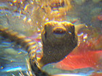 0040-IMGP0521.jpg