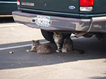 0074-IMGP0555.jpg