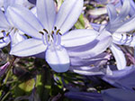 0061-IMGP0894.jpg