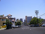 IMGP1019.jpg