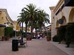 IMGP1025.jpg