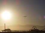 IMGP1085.jpg