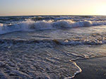 IMGP1126.jpg