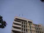 IMGP1215.jpg