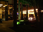 IMGP1221.jpg