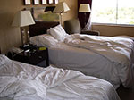 IMGP1228.jpg