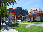 IMGP1231.jpg