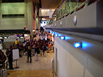 IMGP1247.jpg