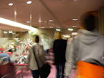 IMGP1267.jpg