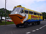 IMGP1363.jpg