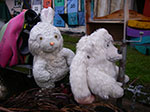 IMGP1395.jpg