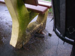 IMGP1397.jpg