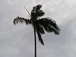 IMGP1408.jpg