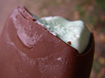 IMGP1413.jpg