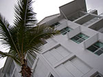 IMGP1454.jpg