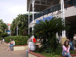 IMGP1485.jpg