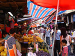 IMGP1880.jpg