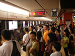 IMGP1901.jpg